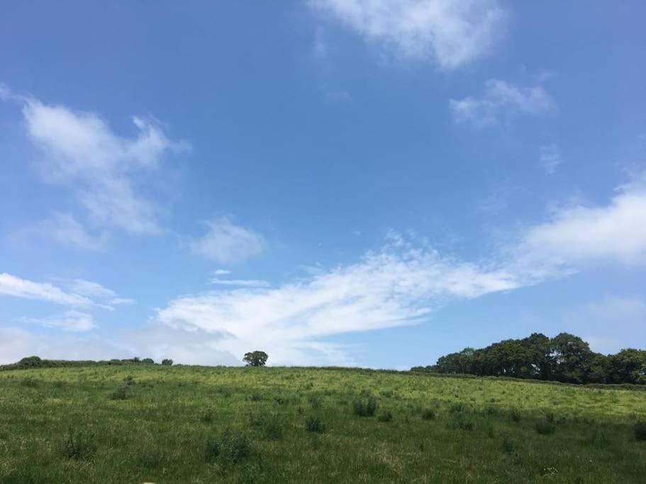 Park Gate House Farm Holidays, Colyton-'Elizabeth エクステリア 写真